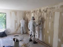 Environmental Consulting for Mold Prevention in New Middletown, OH